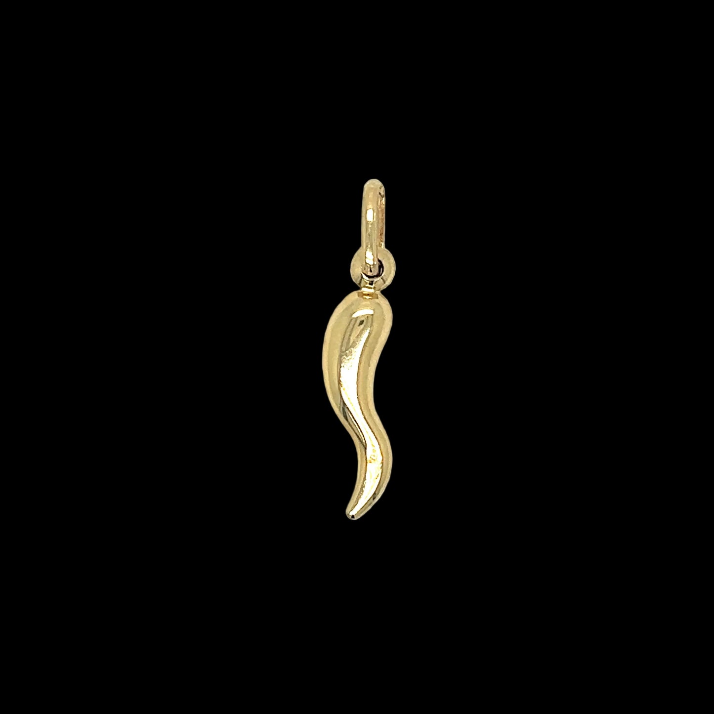 14k Gold Cornicello
