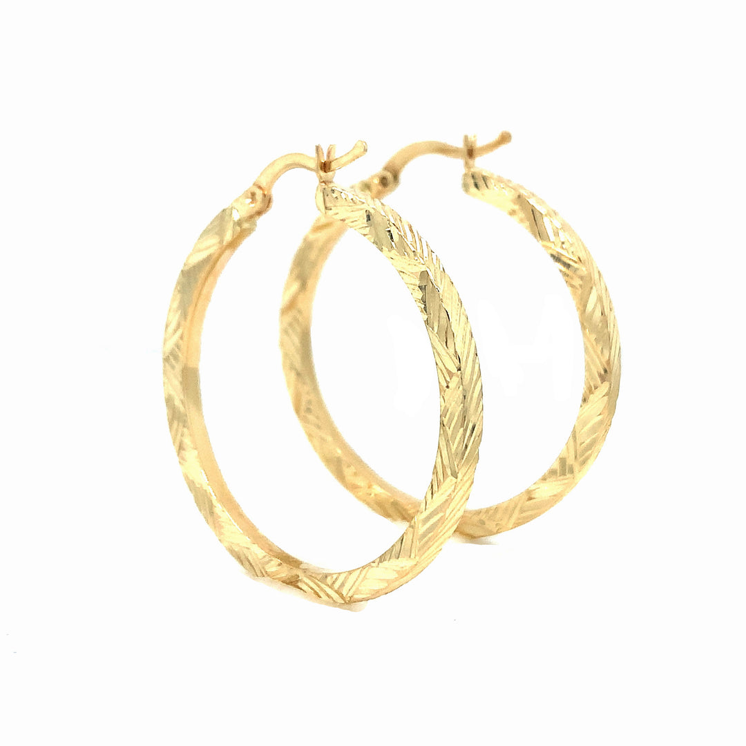 Gold Elegant Hoop Earrings
